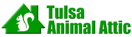 Tulsa Animal Attic